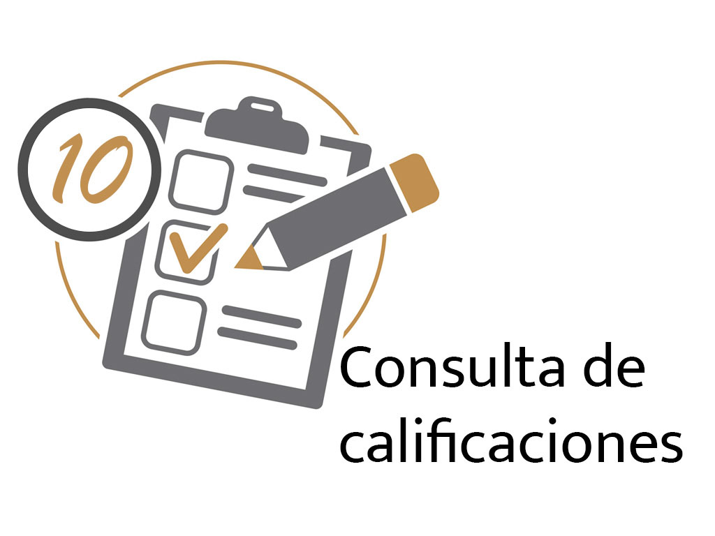 Consulta calificacione