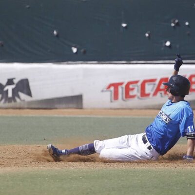 halcones Ericeros (8)
