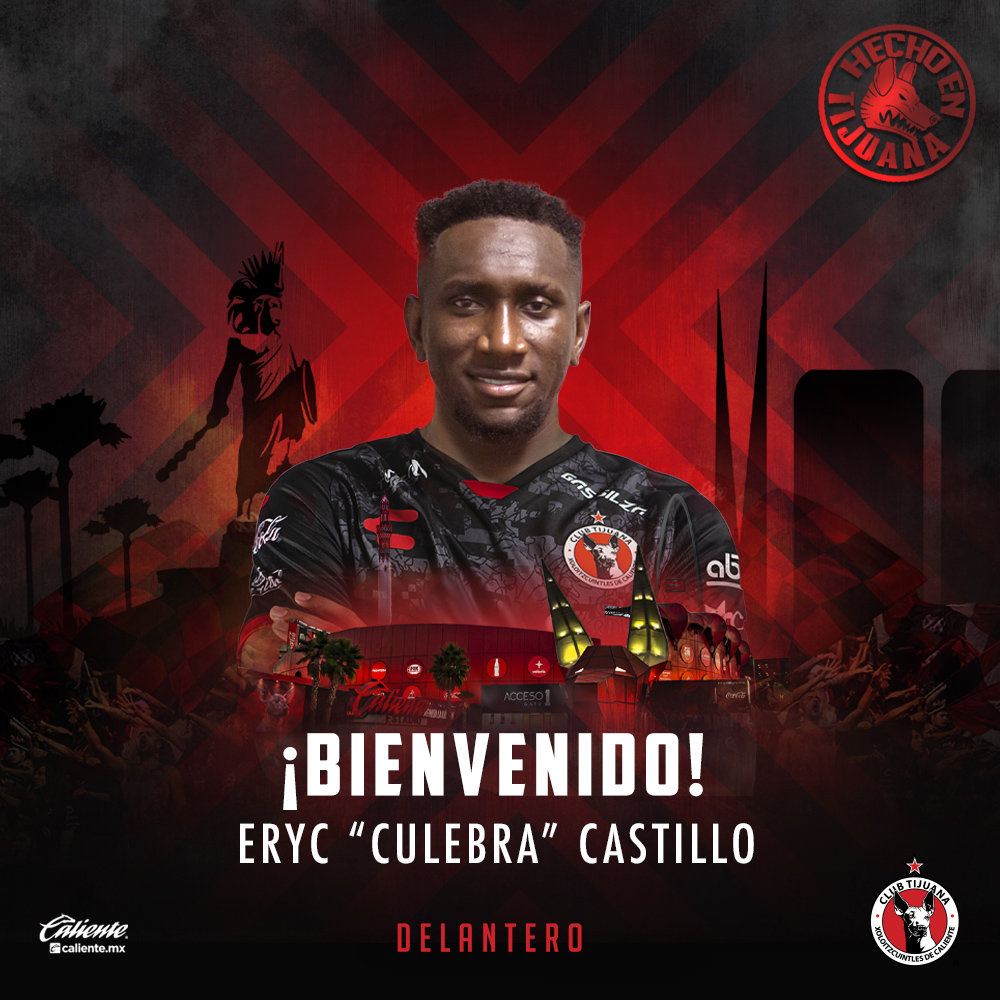 CULEBRA CUADRADO ESP
