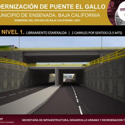 gallo ensenada