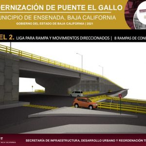 gallo2
