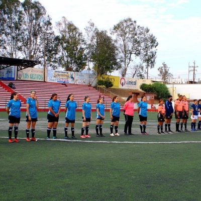 2b7d2e35-fabb-4e51-860b-cecaf4e80741