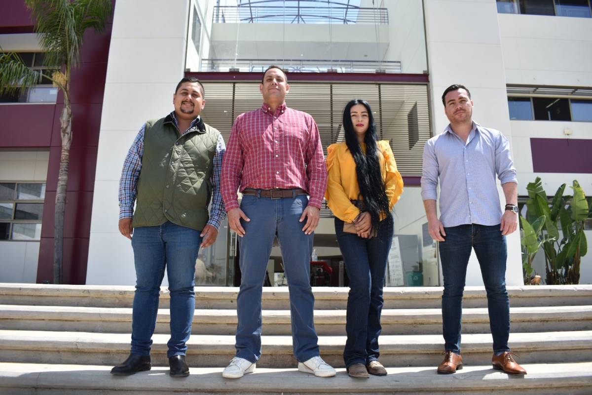 regidores ensenada