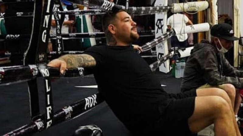 Andy Ruiz boxeador