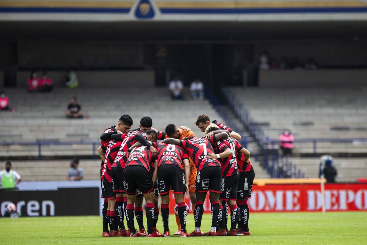Xolos