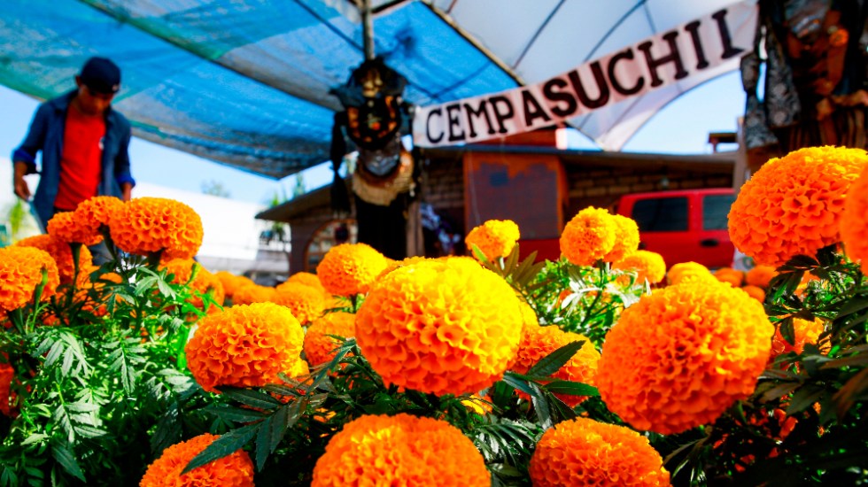 mexico-cempasuchil