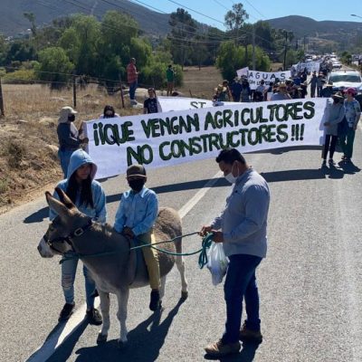 valle de guadalupe 2