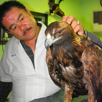 Enrique Tea Carbajal