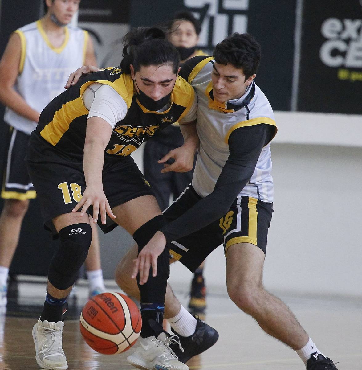 cetys universidad (10)