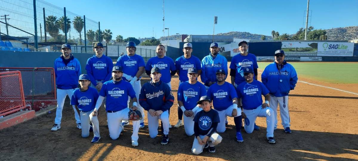 Halcones