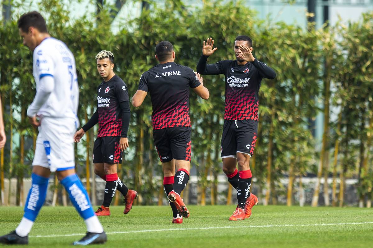 Xolos