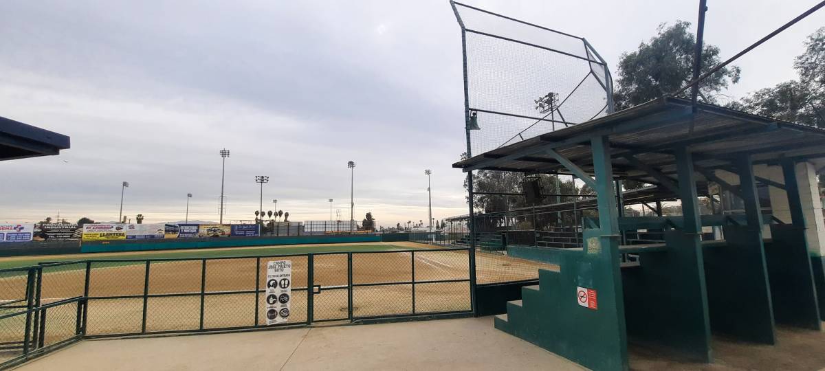 Softbol