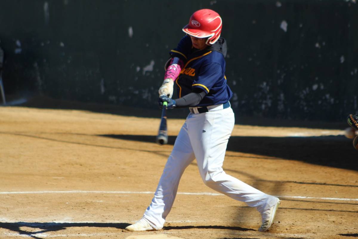 Beisbol-Liga Municipal