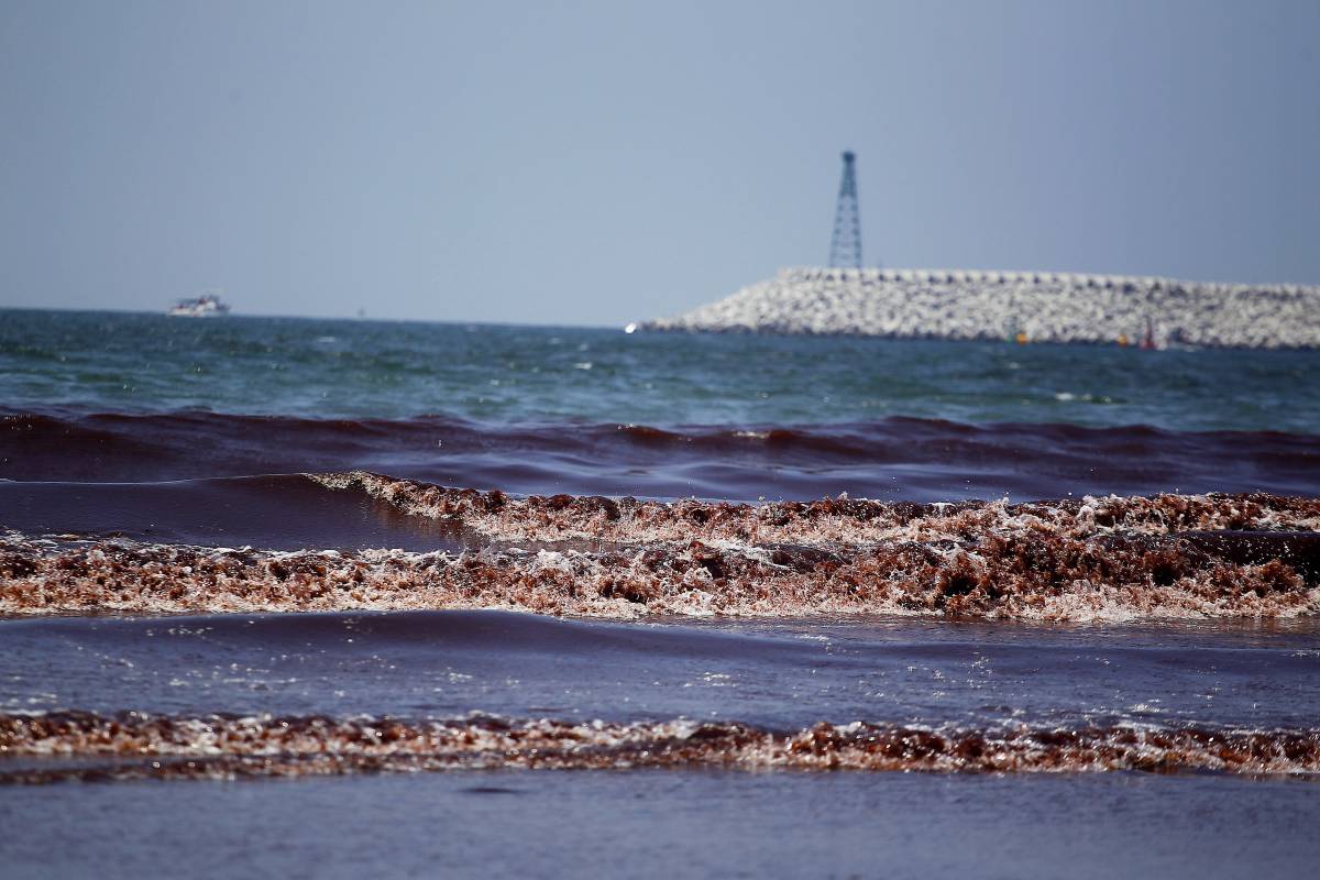 contaminacion playas