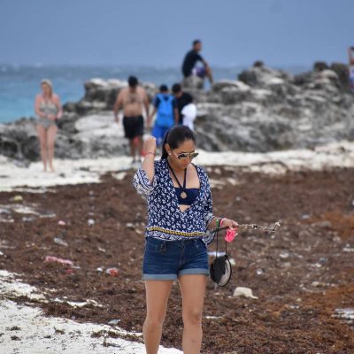 cancun algas zargazo (4)