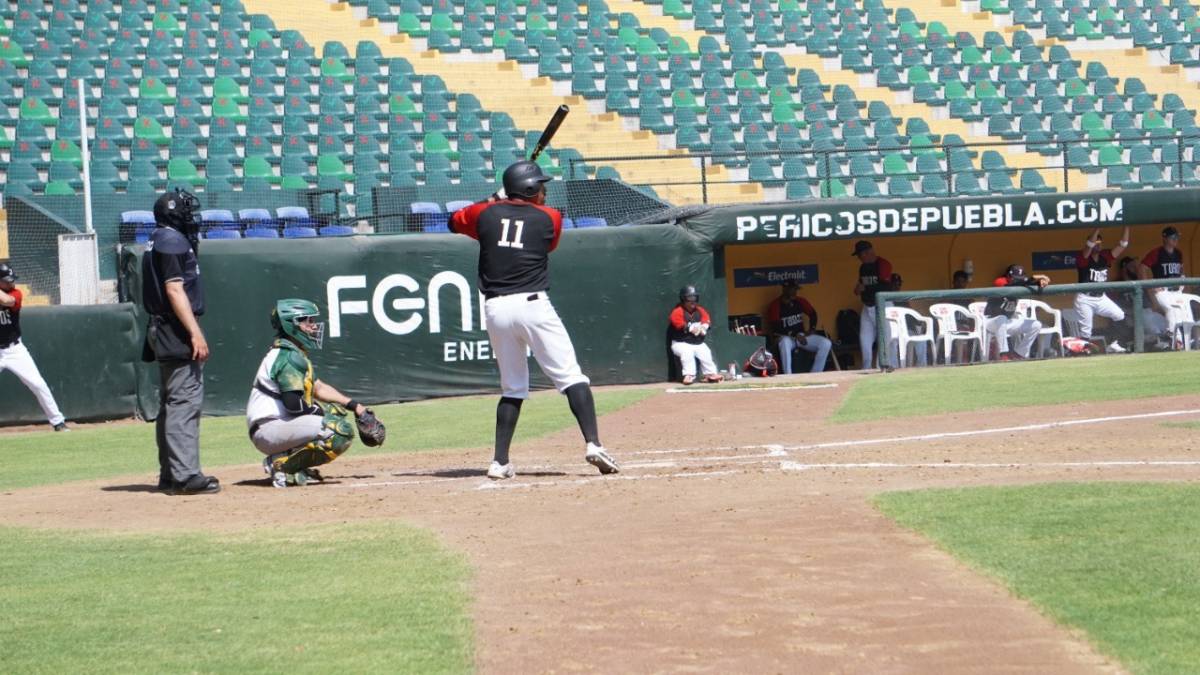 Pericos Toros
