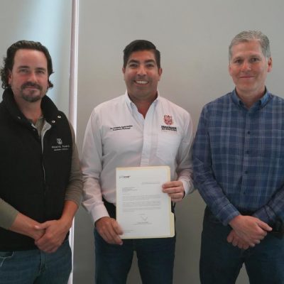 Ayala ensenada vino