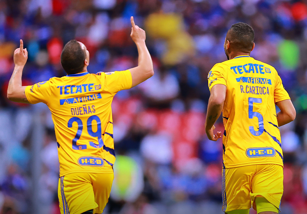 Tigres