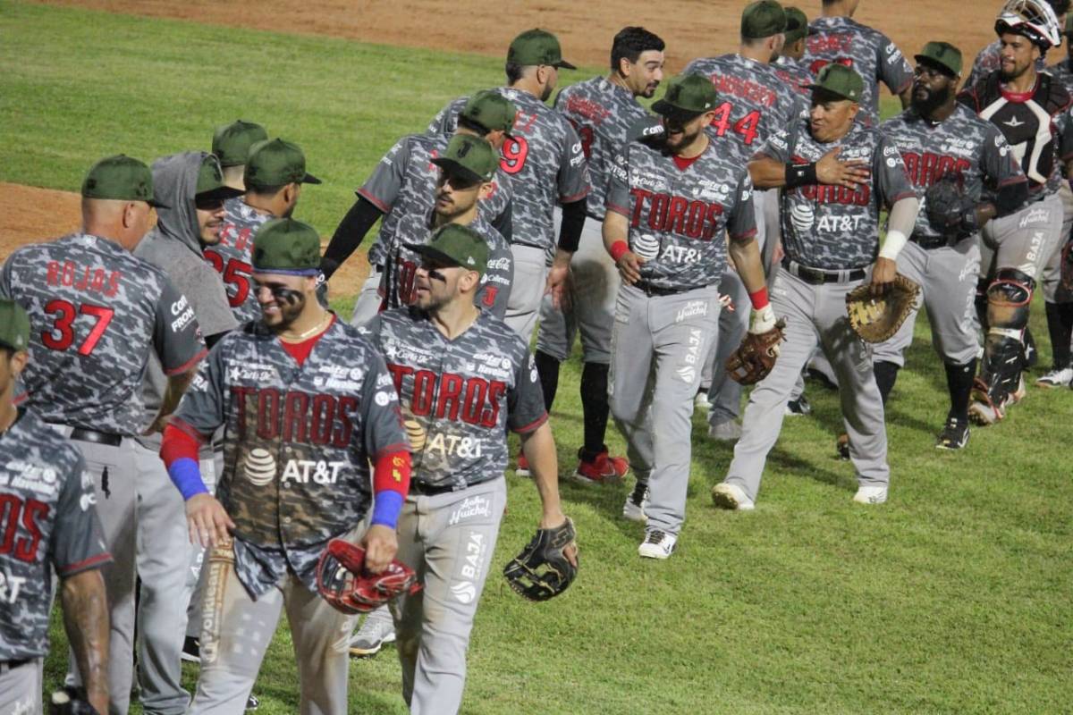 Toros