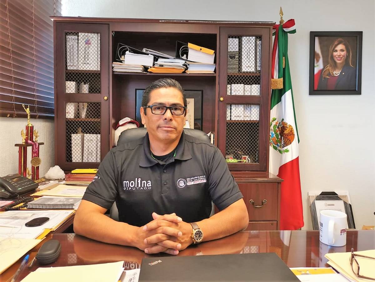 DIPUTADO BAJA CALIFORNIA