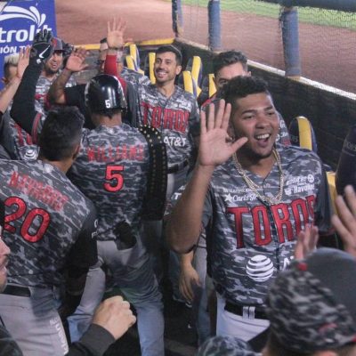 Toros