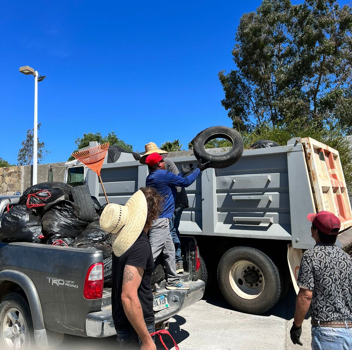 limpieza en valle de guadalupe 3