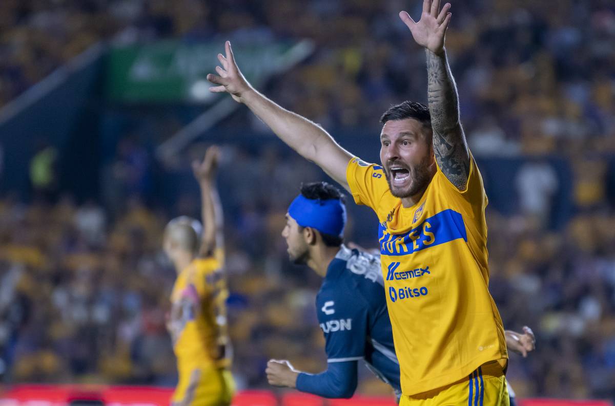 Tigres