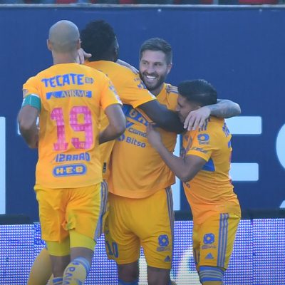 Tigres