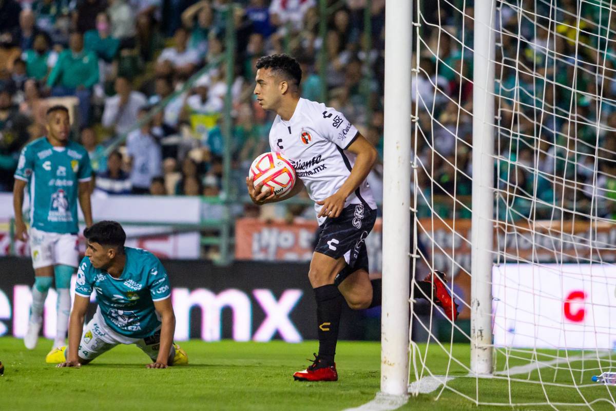Xolos
