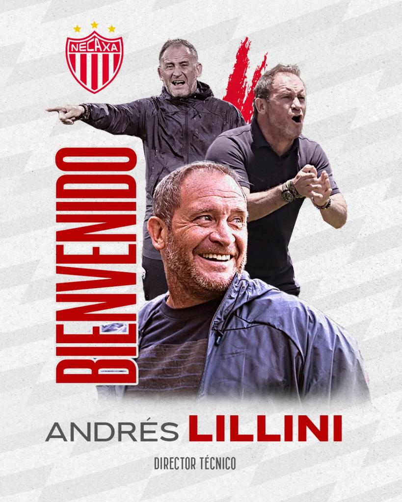 Lillini
