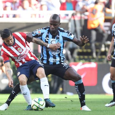 Chivas Gallos