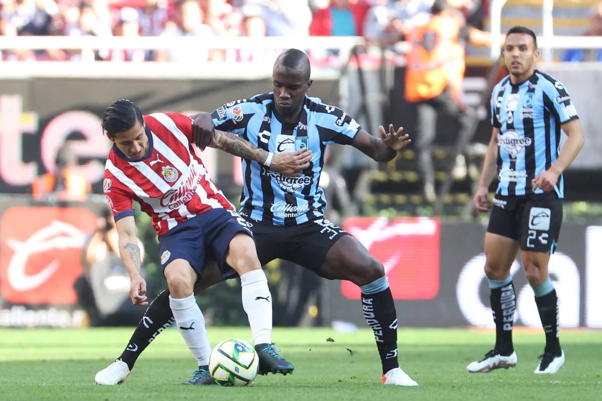Chivas Gallos