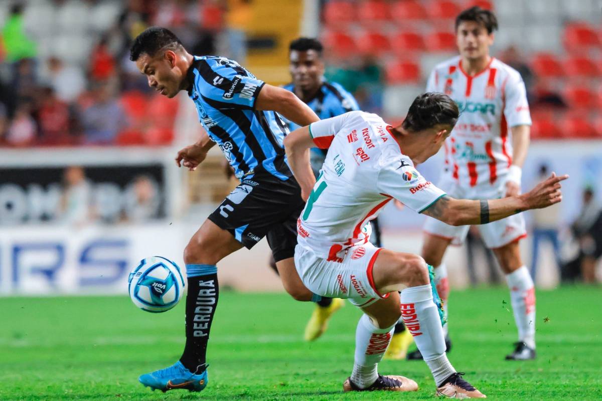Necaxa Gallos