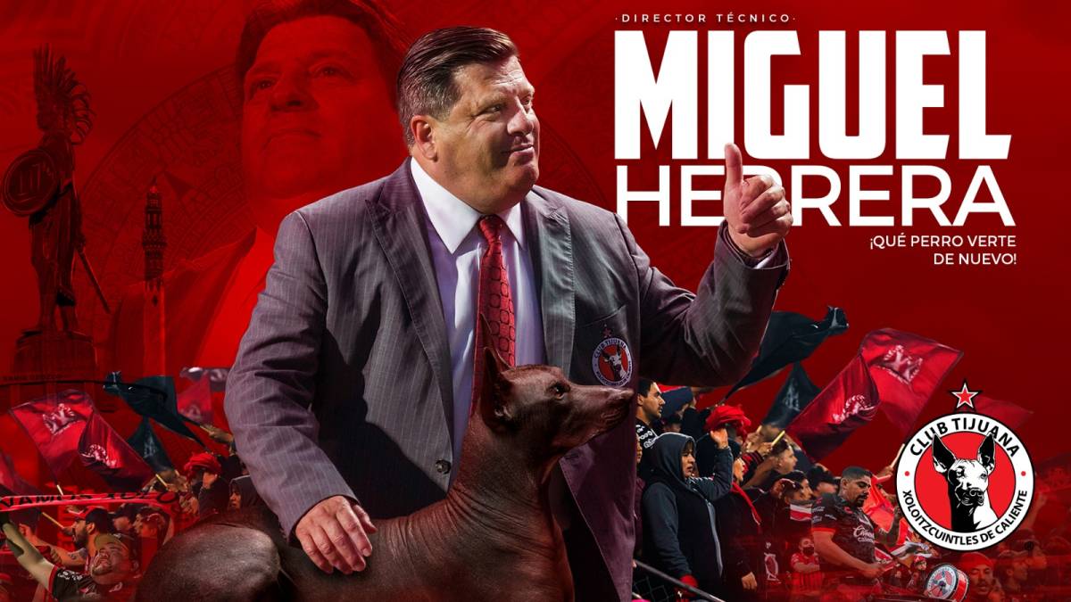 Xolos