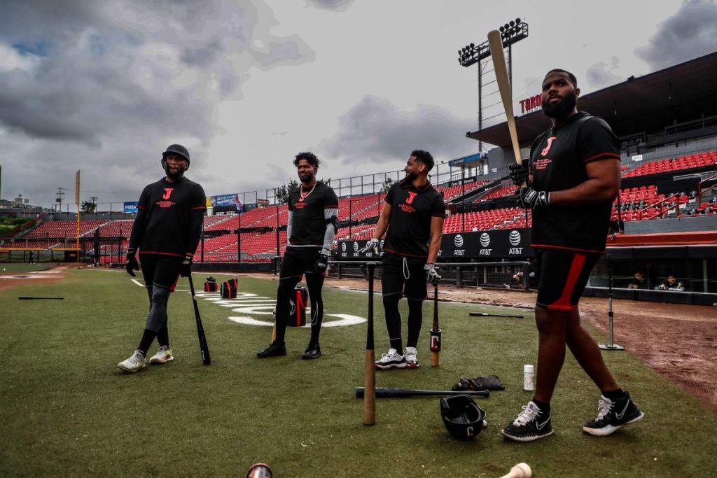 Toros3