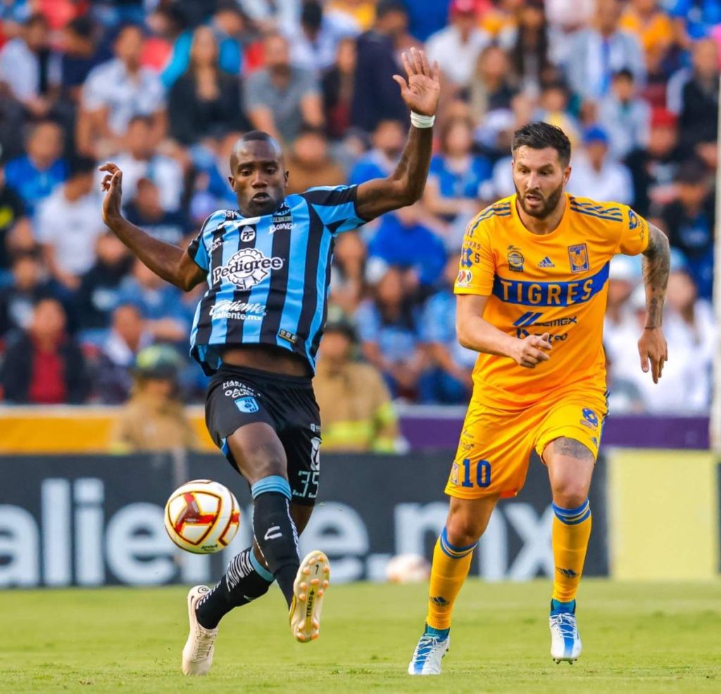 Gallos
