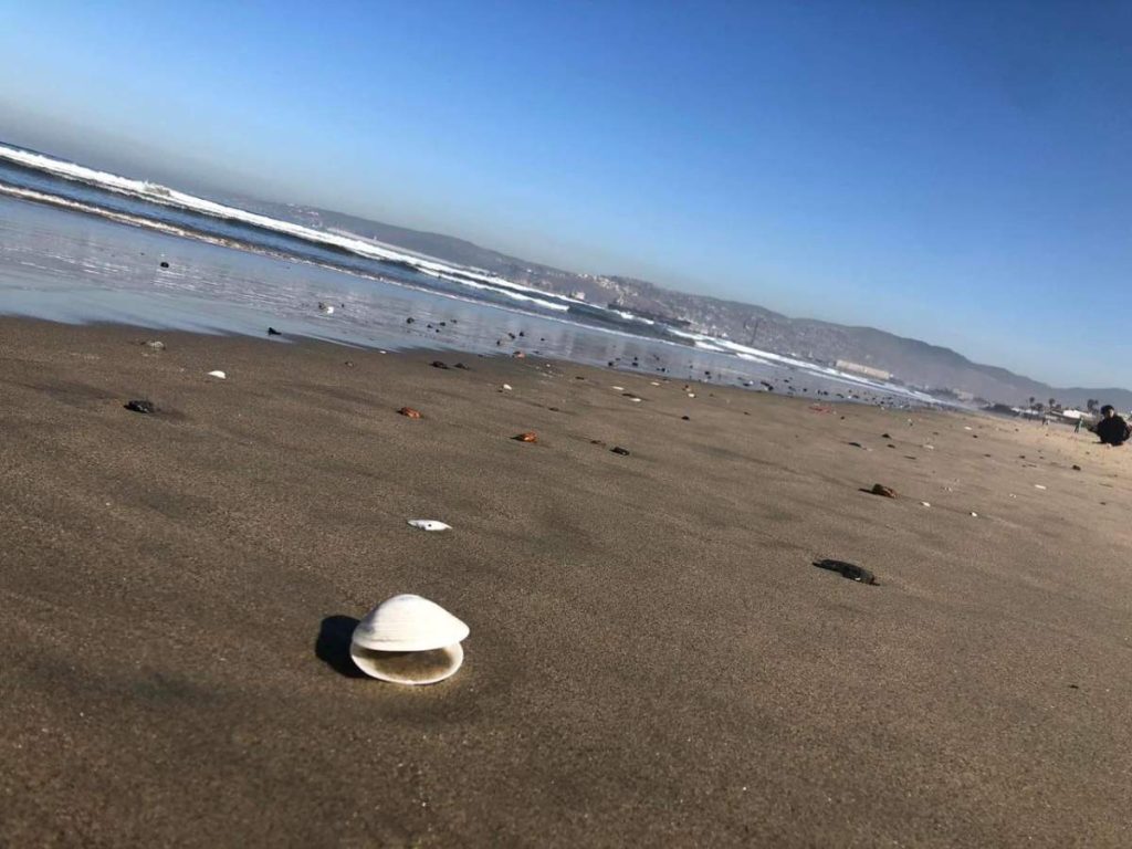 A275B187-205F-472F-AE9B-3E167D430F9C