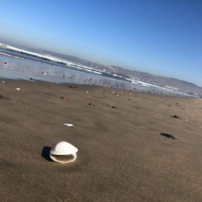 A275B187-205F-472F-AE9B-3E167D430F9C