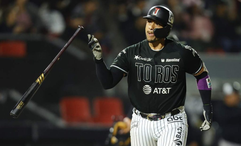 Toros 3