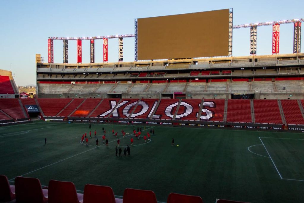 Xolos