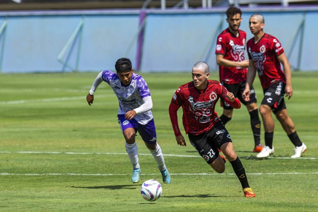 Xolos