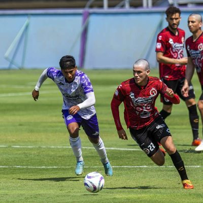 Xolos