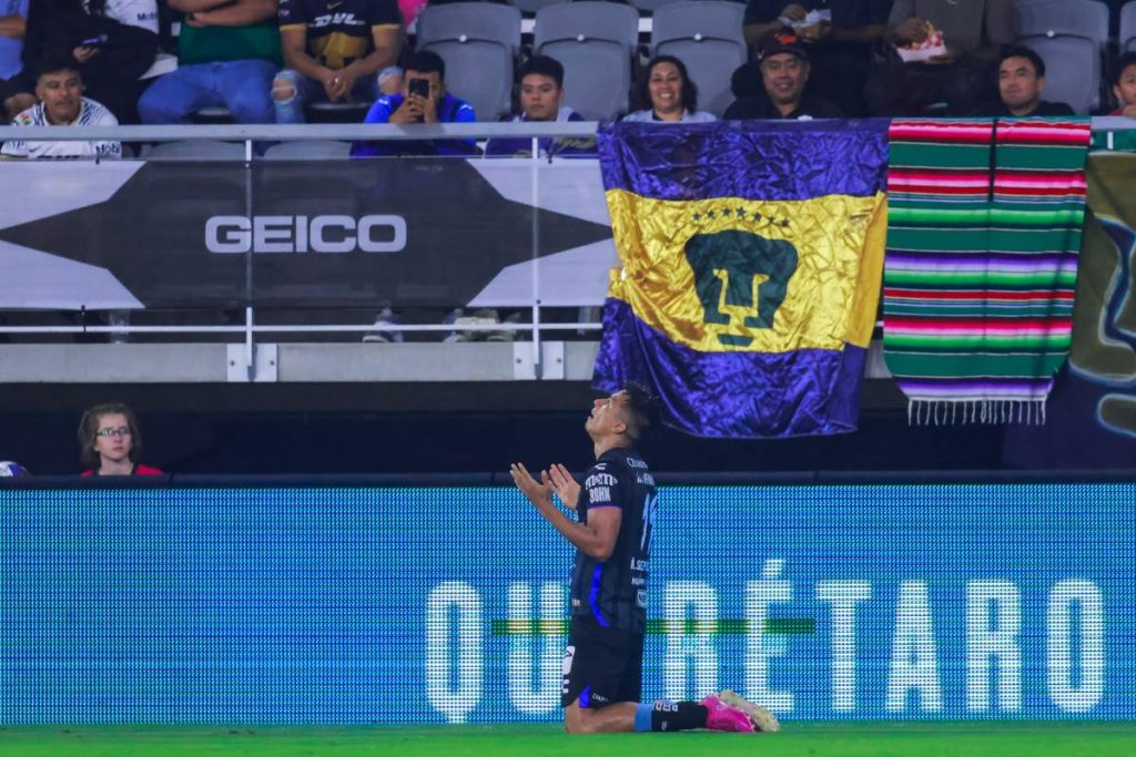 Gallos