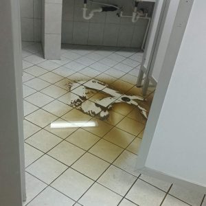 Golbol1