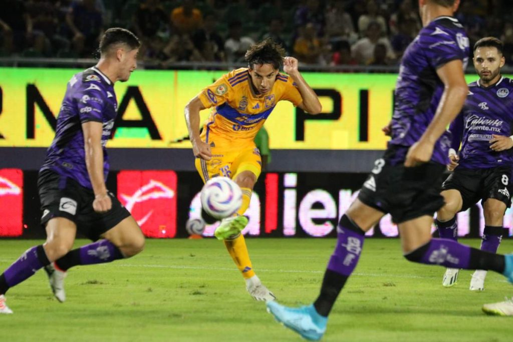 TIGRES