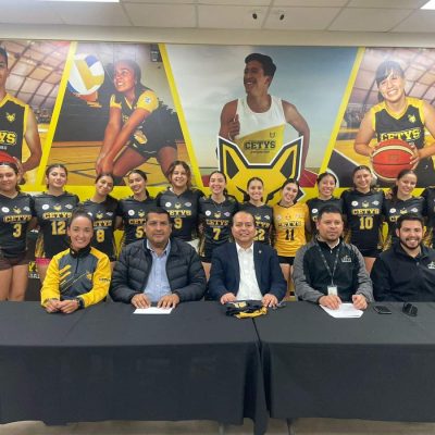 558161c6-8afd-4340-89c9-2aeff7418071