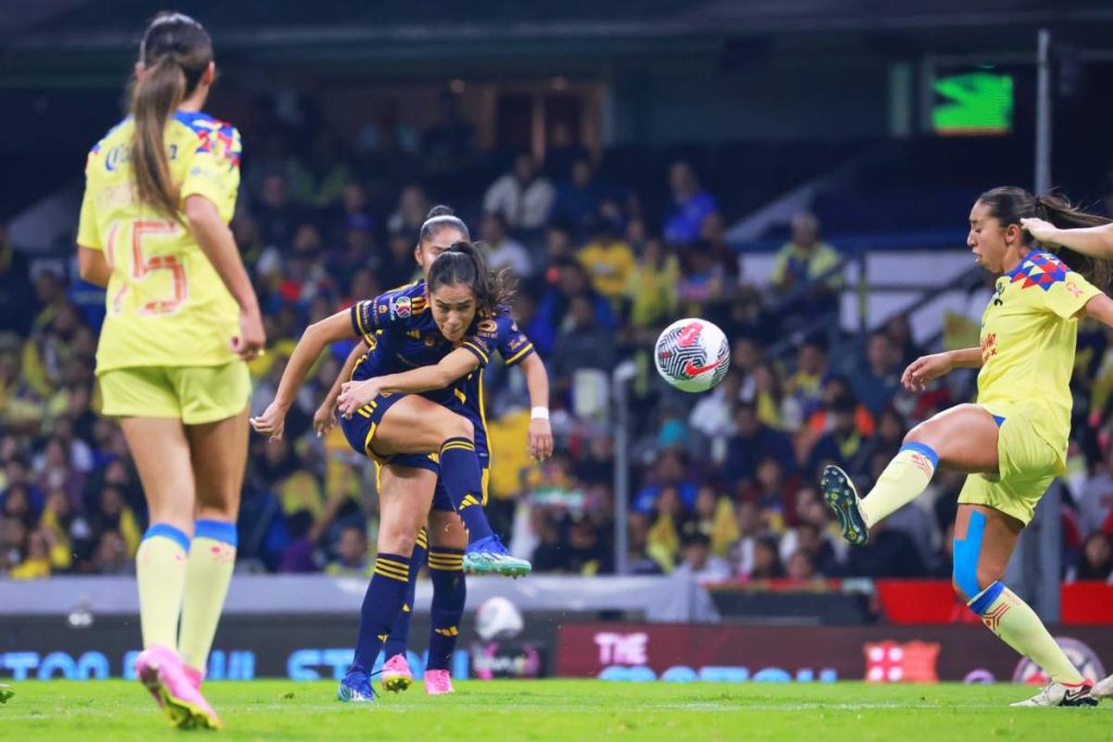 Tigres1