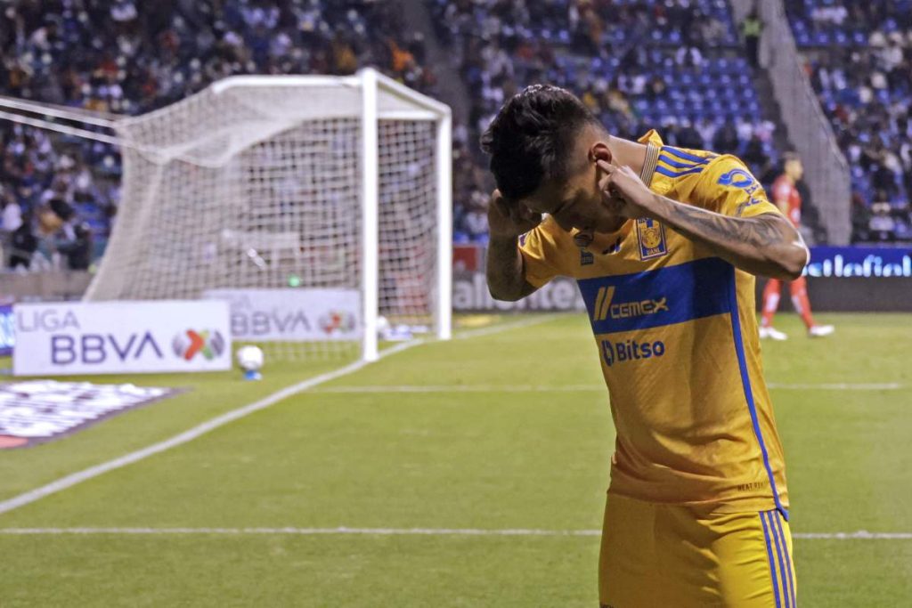Tigres