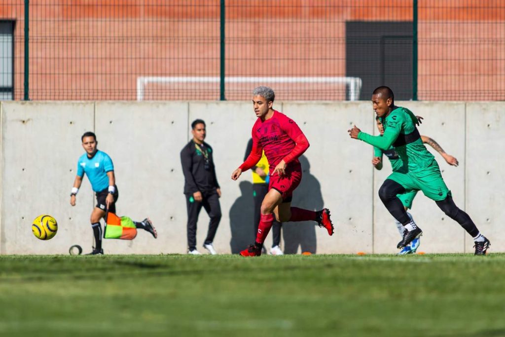 Xolos1