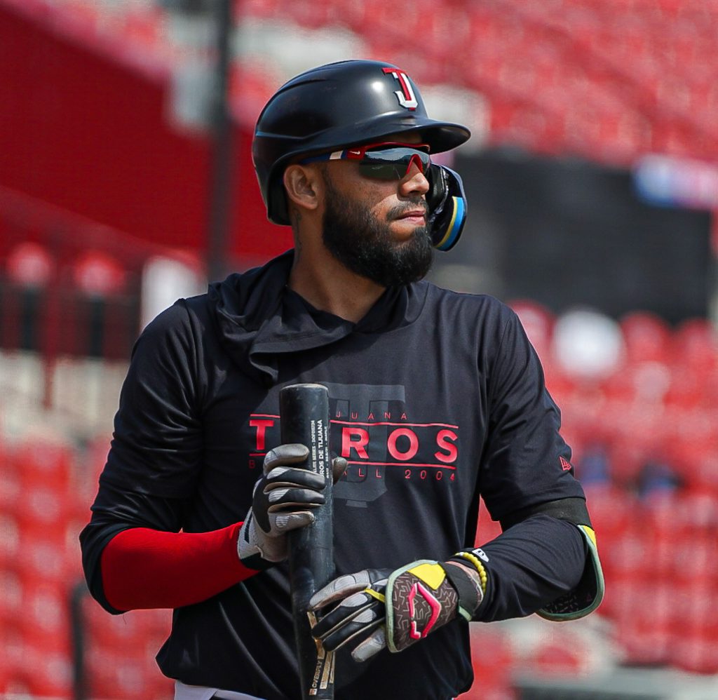 Toros6